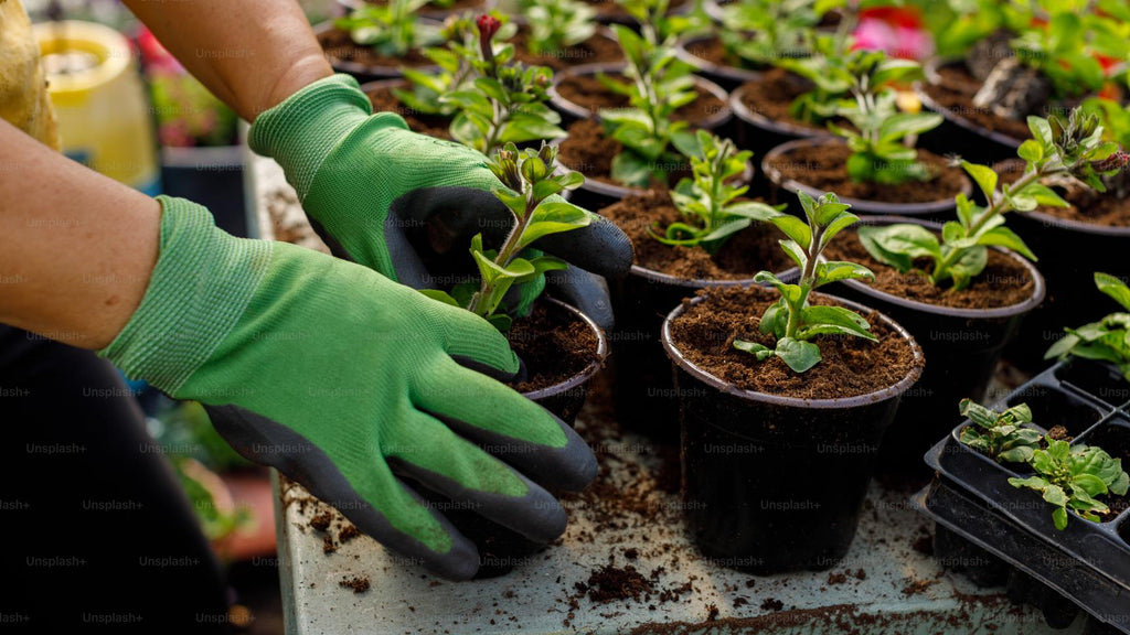 Grow Tent vs Greenhouse Selecting the Right Indoor Growing System BENEHORTI
