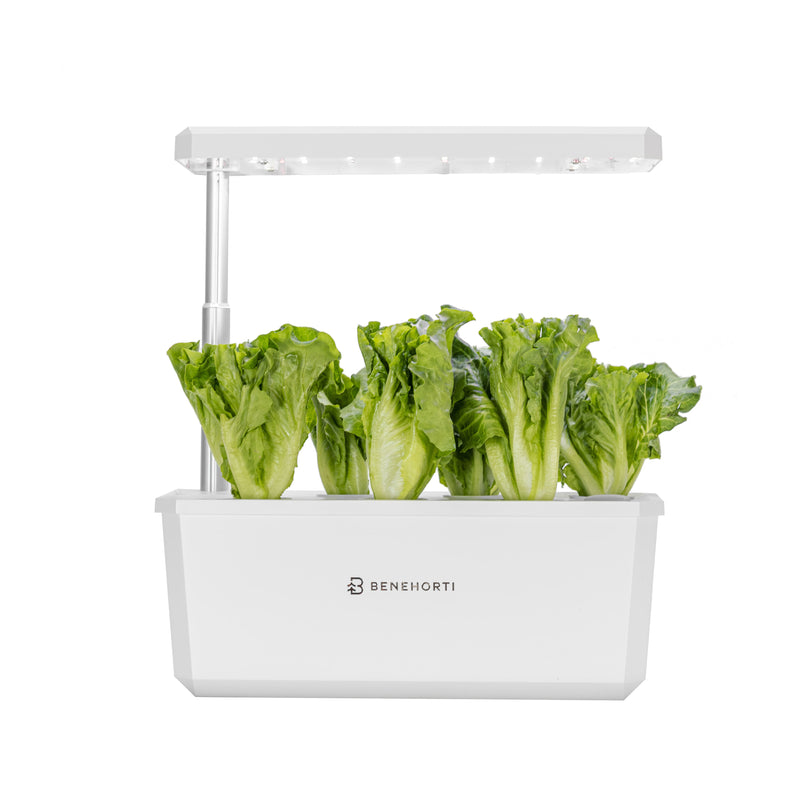 hydroponic 6 plant system EasyGrow 6 Pods Hydroponic System – BENEHORTI