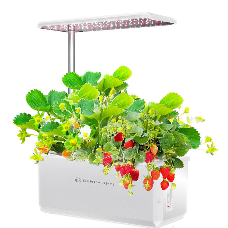 hydroponic plant pods EasyGrow 6 Pods Hydroponic System
