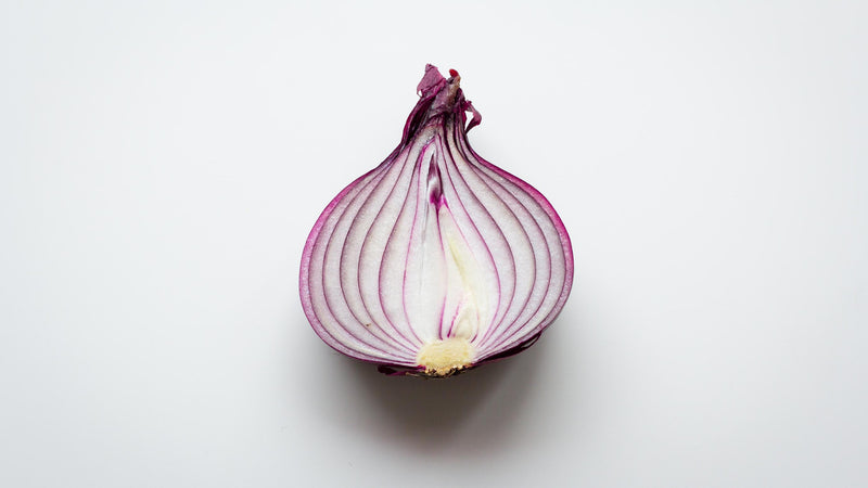 Hydroponic Onions Made Easy: Grow Juicy, Flavorful Bulbs Like a Pro!