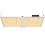 BENEHORTI 2023 Newest BH2000 LED Grow Light with Samsung LM301 Diodes