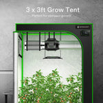 Benehorti EverGrow 3X3 Reflective Mylar Garden Bed, 36"x36"x72"