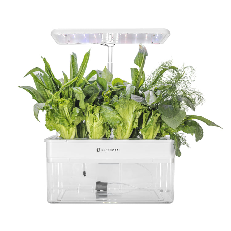 Products – BENEHORTI