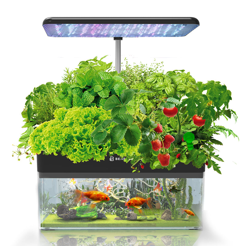 house plants for aquaponics AquaGarden Aquaponics Fish & Garden Combo System – BENEHORTI