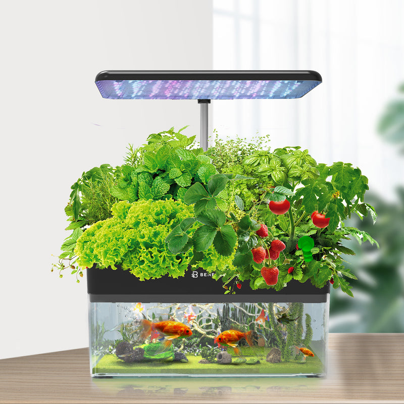 hydroponic fish tank system