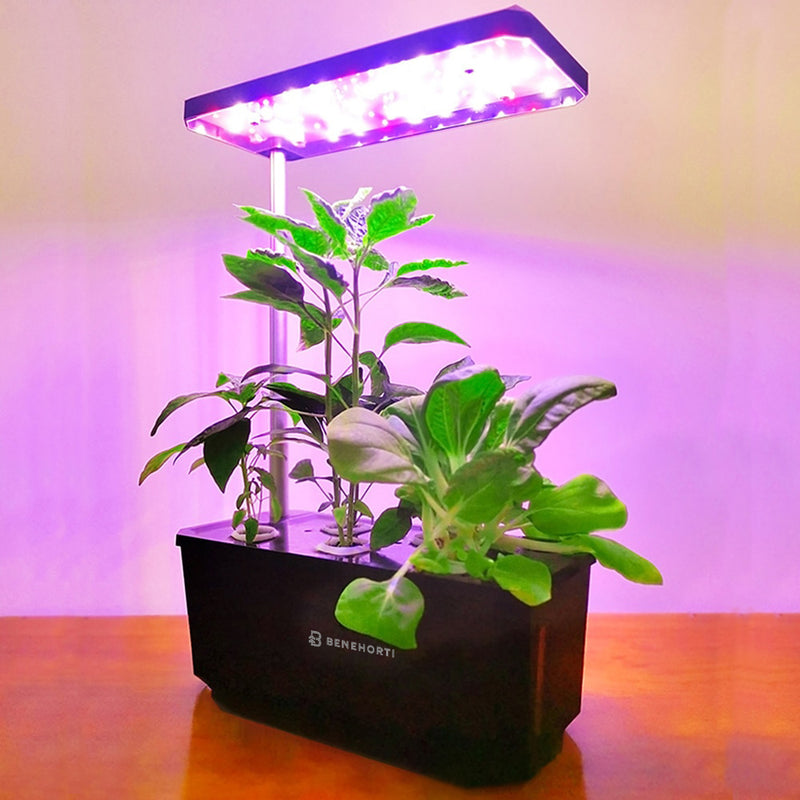 6 plant hydroponic system EasyGrow 6 Pods Hydroponic System – BENEHORTI