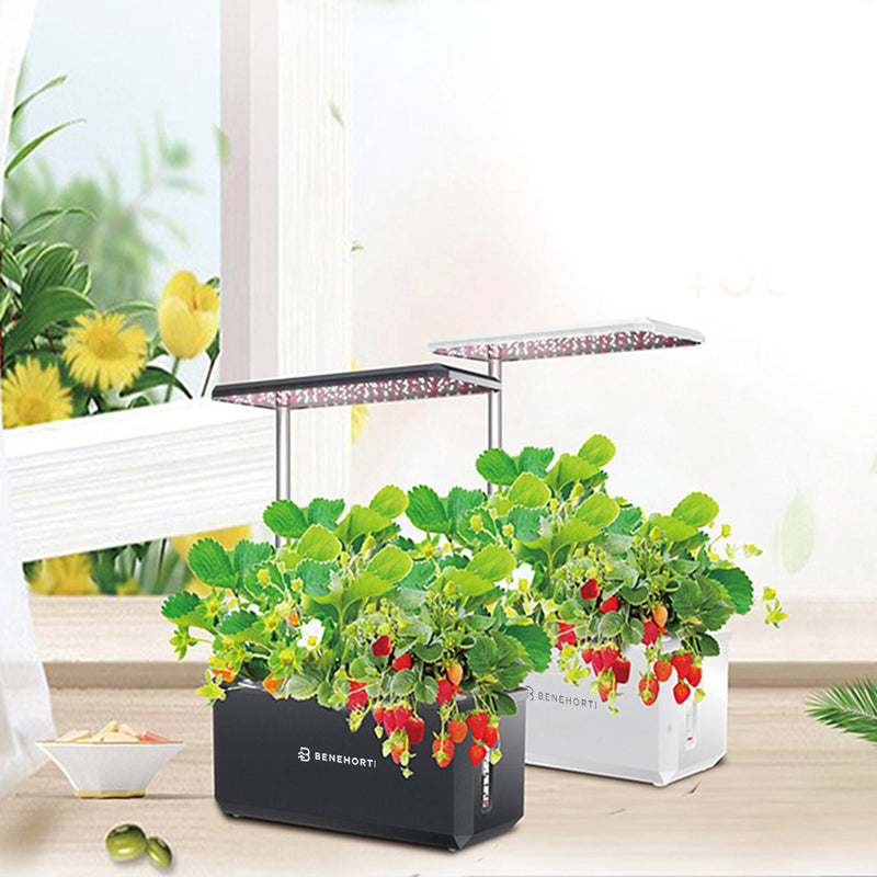 plant-prod 6-11-31 hydroponic EasyGrow 6 Pods Hydroponic System – BENEHORTI