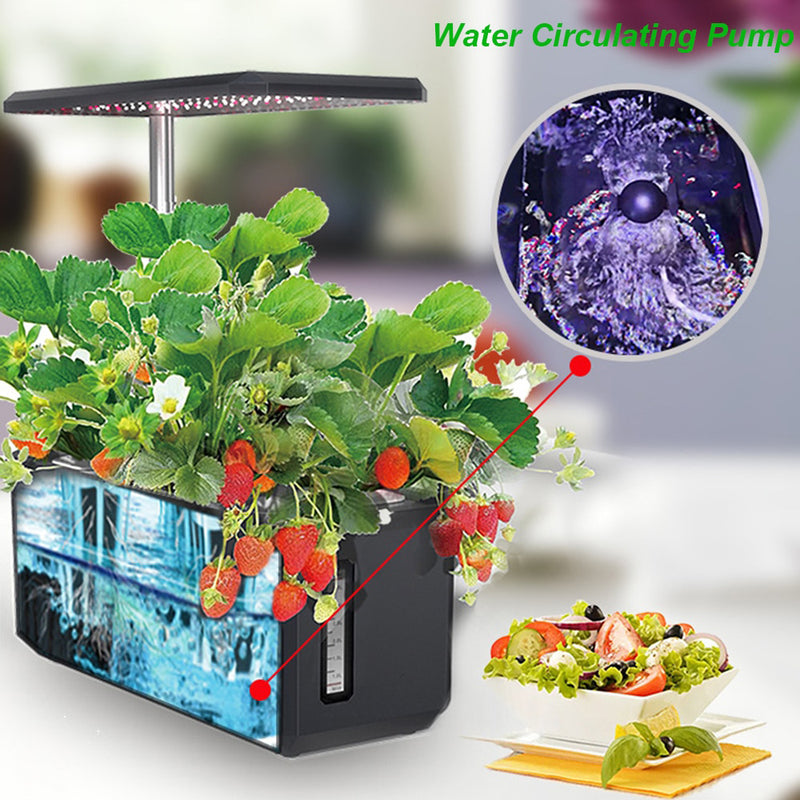 6 plant hydroponic system EasyGrow 6 Pods Hydroponic System – BENEHORTI