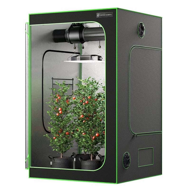 ac infinity 5x5 grow tent Benehorti MegaGrow 5X5 Reflective Mylar Garden Bed, 60" x 60" x 80" – BENEHORTI