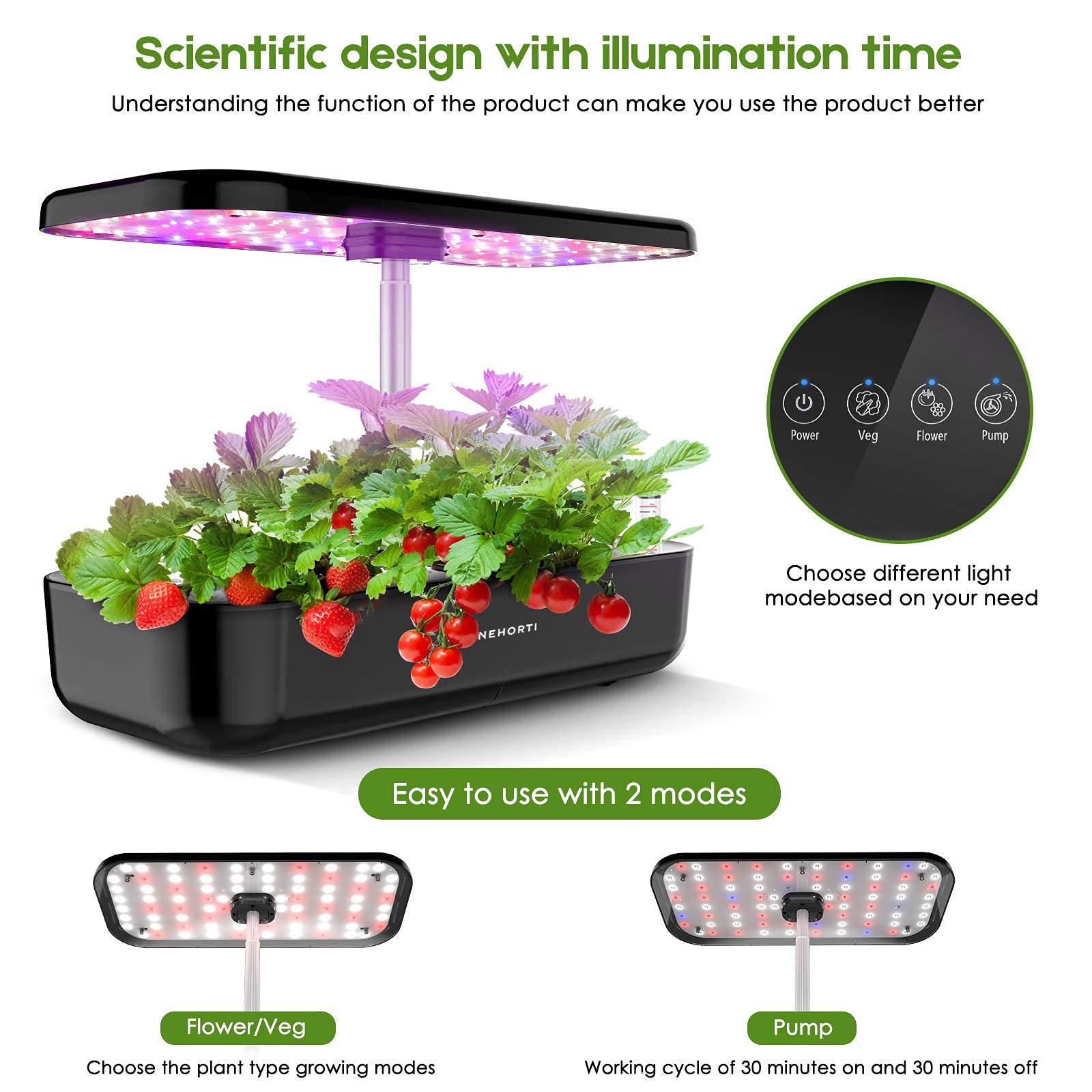 Easygrow EasyGrow Max 12 Pods Hydroponic System – BENEHORTI