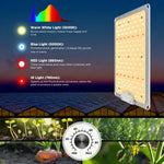 BENEHORTI 2023 Newest BH1000 LED Grow Light with Samsung LM301 Diodes