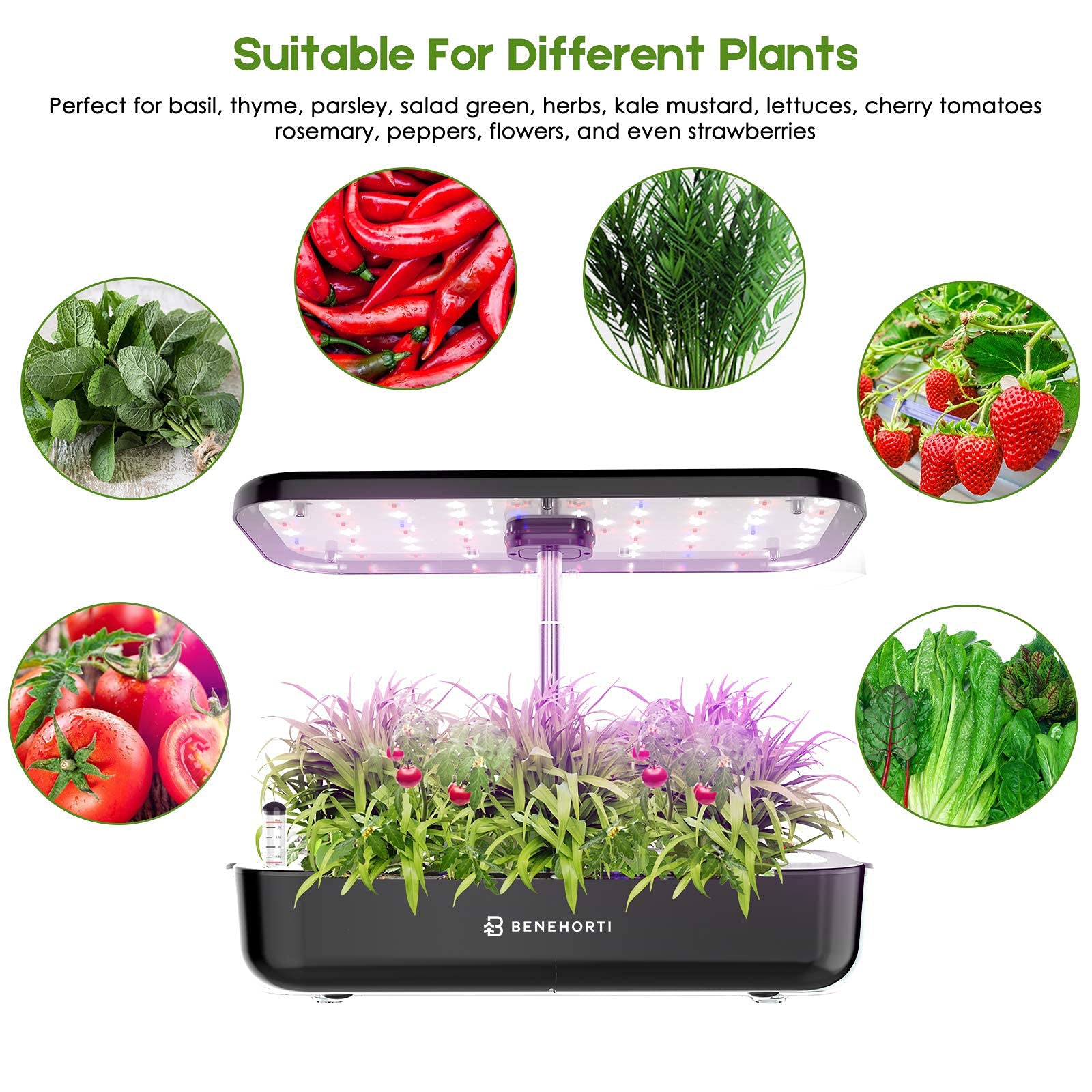 Easygrow EasyGrow Max 12 Pods Hydroponic System – BENEHORTI