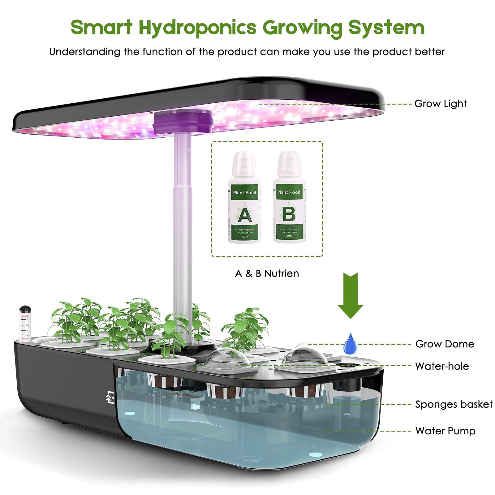 Easygrow EasyGrow Max 12 Pods Hydroponic System – BENEHORTI